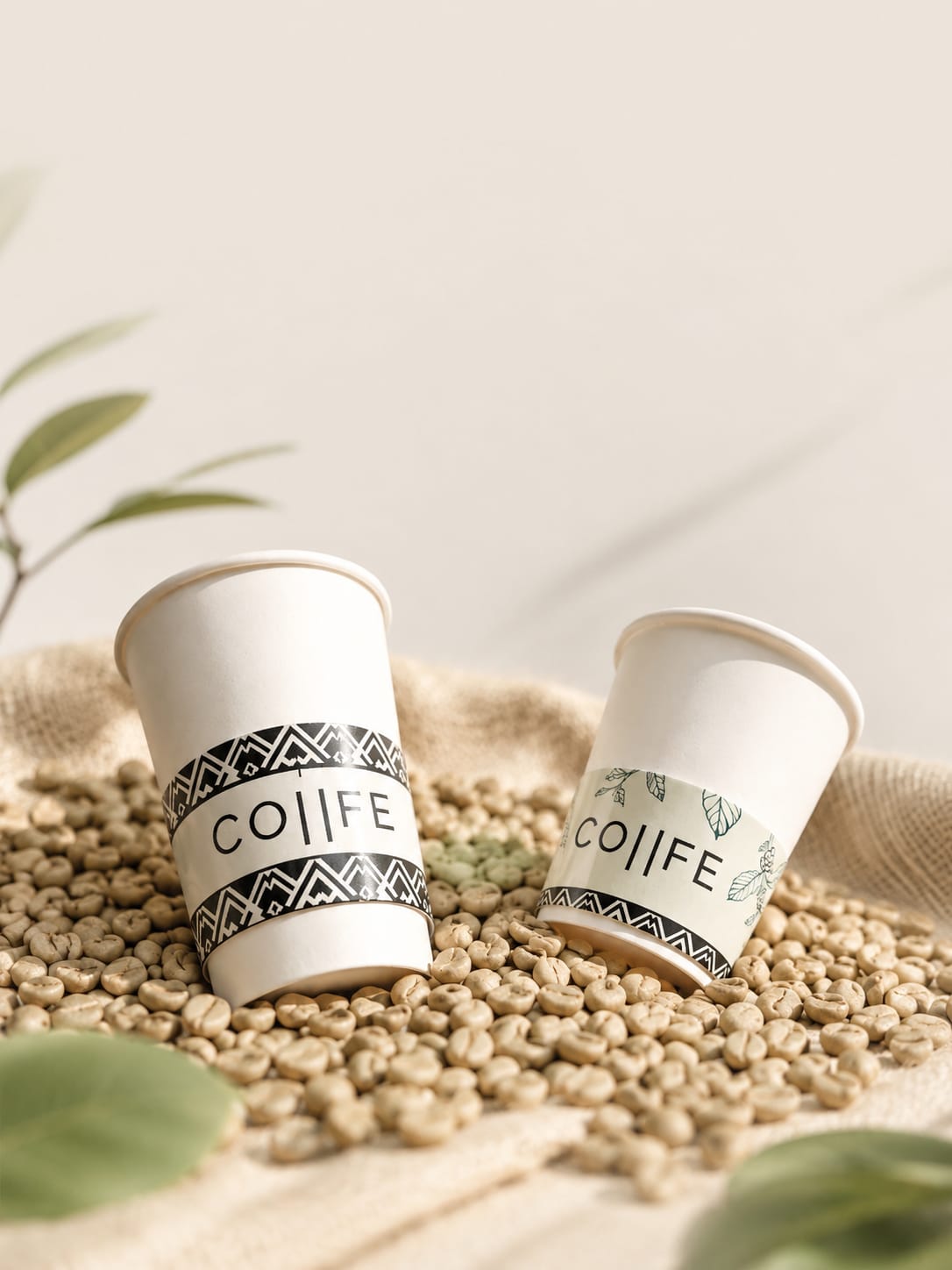 Vasos CO||FE sobre granos verdes